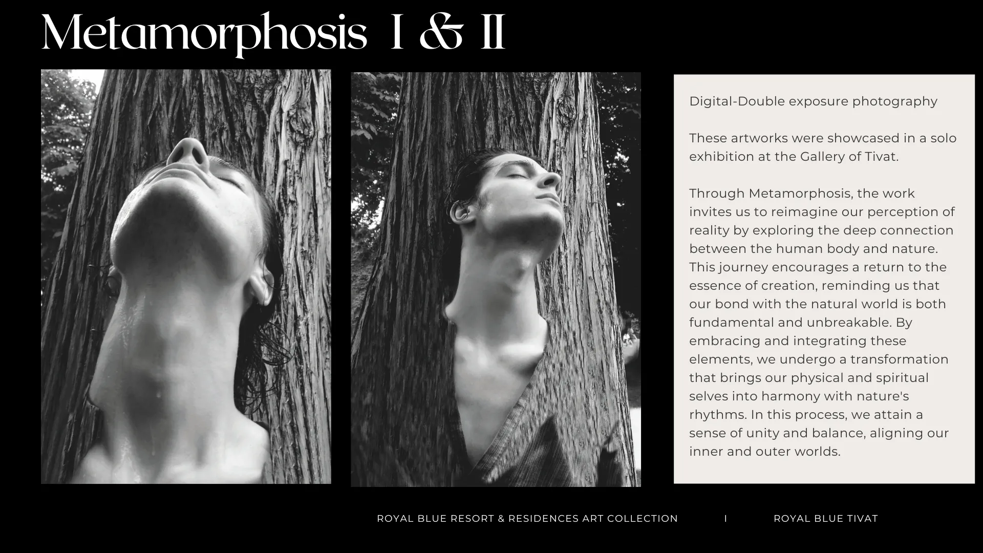 Umjetničko djelo 14